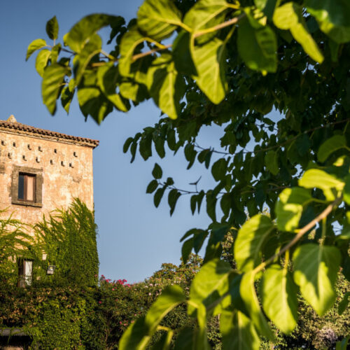 Wedding in Paestum