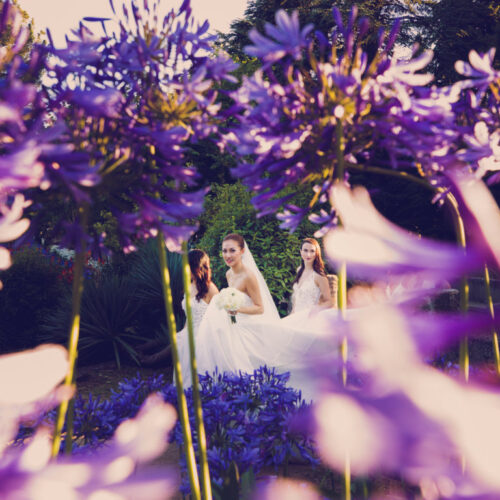 luxury wedding in villa cimbrone