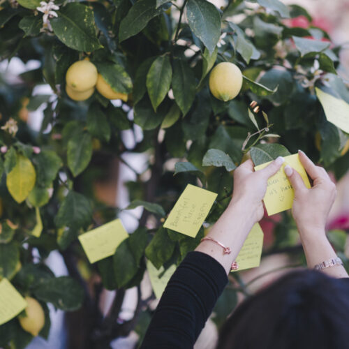 positano wishing tree